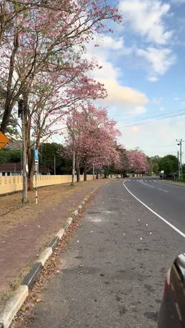 #mahiyanganaya #srilanka 
