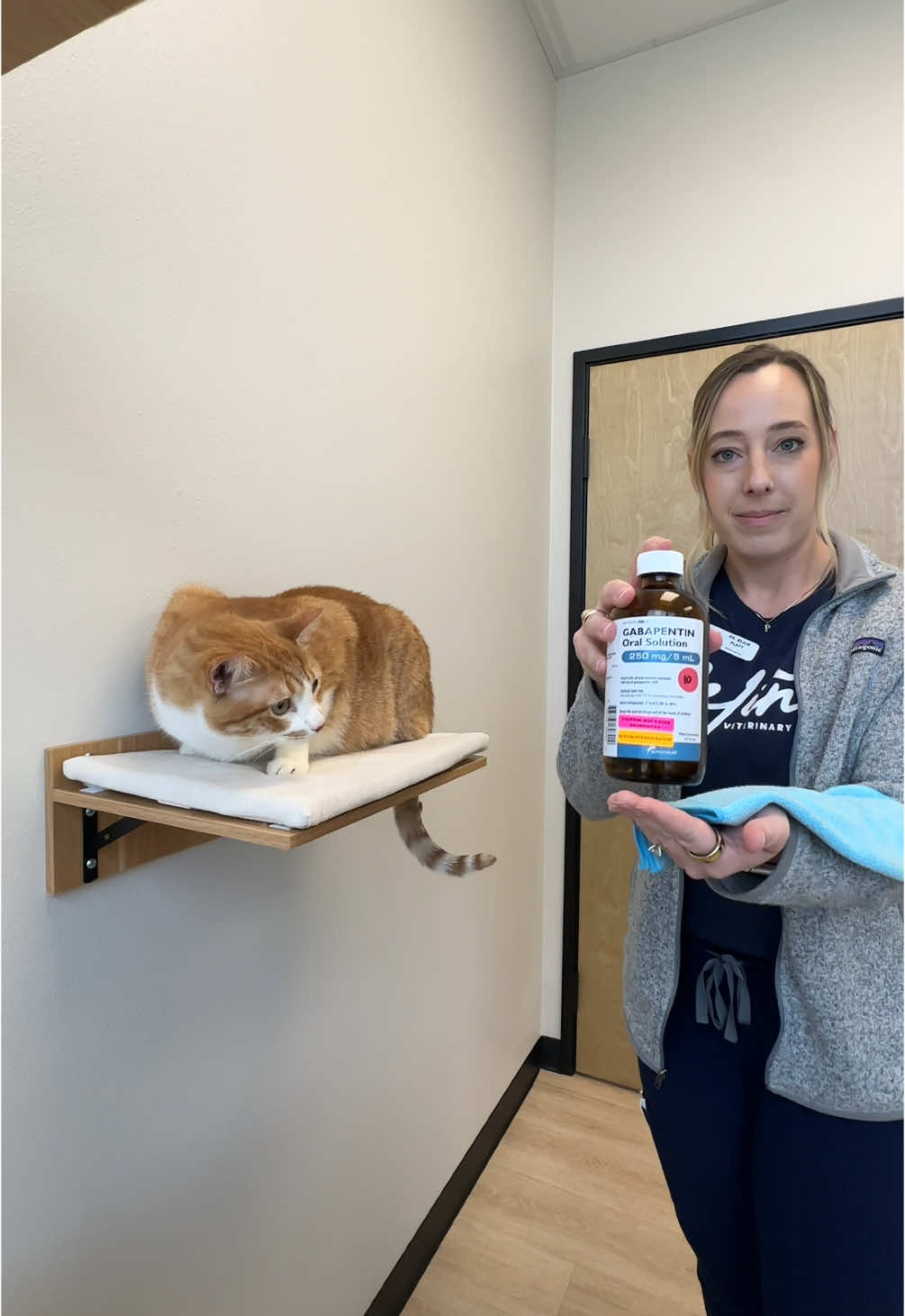 Vintage Sonoma 🤝 Liquid Gabapentin #celinavet #celinavethospital #smallanimalveterinarian #gabapentin #catgabapentin #vintagewine #winepresentation 