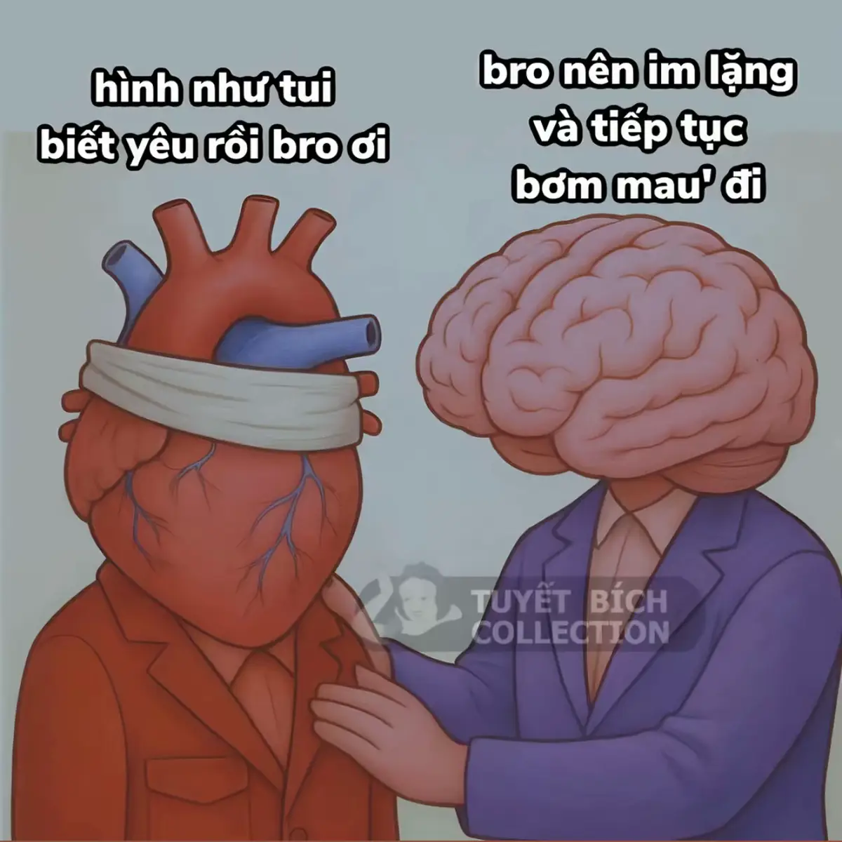 Trái tim nó ngu, mà khổ cái... nó có quyền bơm hp =))