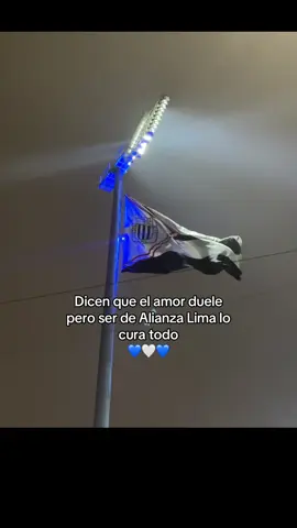 💙💙AL🤍🤍