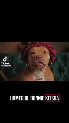 Dogs #dogsoftiktok #cherrue #comedy #foryoupage 