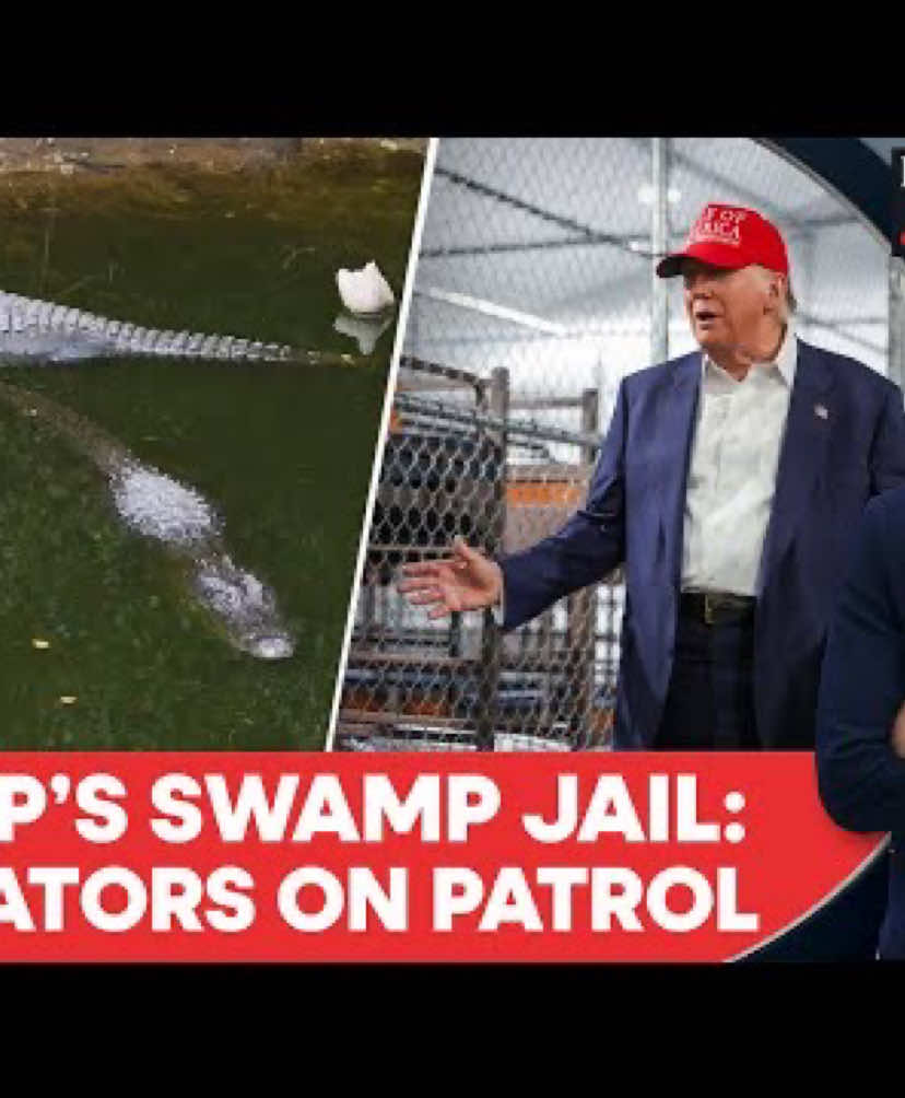 Trump celebrates harsh conditions for detainees on visit to ‘Alligator Alcatraz’ President says immigration jail in Florida Everglades is a ‘little controversial, but I couldn’t care less Donald Trump on Tuesday toured “Alligator Alcatraz”, a controversial new migrant detention jail in the remote Florida Everglades, and celebrated the harsh conditions that people sent there would experience President Donald Trump on Tuesday, July 1, toured a remote migrant detention center dubbed by GOP officials as “Alligator Alcatraz.
