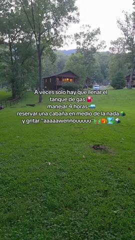 🎤🎶🏕🫶🌵 #🦋🌲 #nature #fypシ゚ #naturelover #relajacion #pazmental #parati 