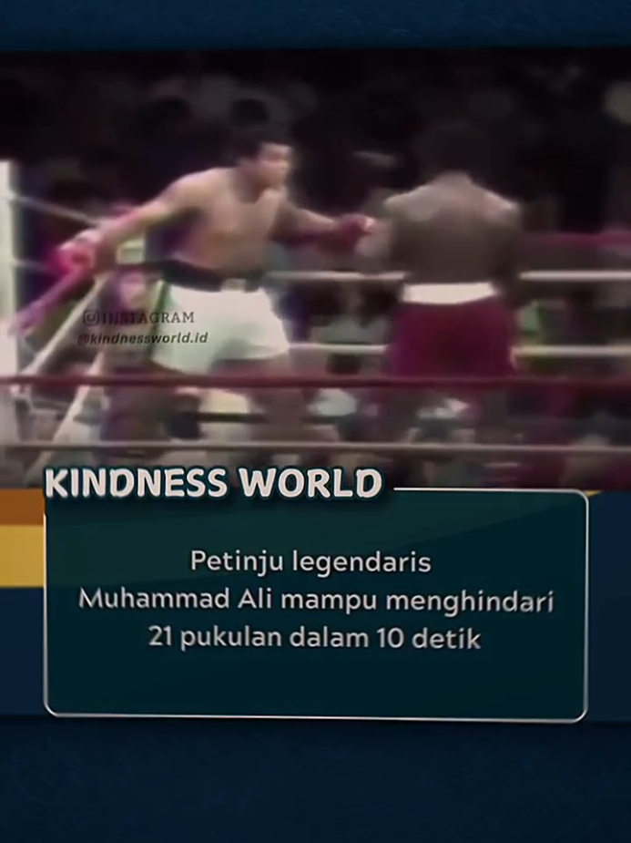 Bagian 84 | MUHAMMAD ALI 🥶 Muhammad Ali bukan hanya petinju legendaris, tapi juga dikenal sebagai “The Fastest Hands in Boxing” 🥊⚡️. Kecepatannya luar biasa untuk ukuran petinju kelas berat — pukulan secepat kilat, gerakan kaki lincah bak penari 💃🕺. Dia sering berkata, “Float like a butterfly, sting like a bee” 🦋🐝 — dan memang begitulah dia di ring: melayang anggun, memukul mematikan. Lawan sering tak sempat bereaksi sebelum terkena pukulannya! 🚀💥 Kecepatan Ali bukan hanya soal fisik, tapi juga refleks, kecerdasan, dan timing yang nyaris sempurna 🎯✨. #viral #fyp #trending 