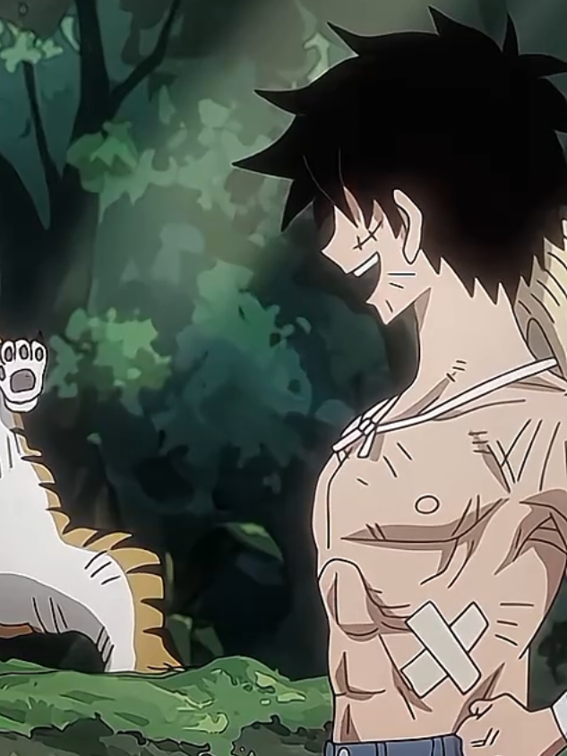 #LUFFY : Ma LOooveee‼️                     #monkeydluffy #onepiece #luffyedit #onepieceedit #animeedit #anime #animecharacters 