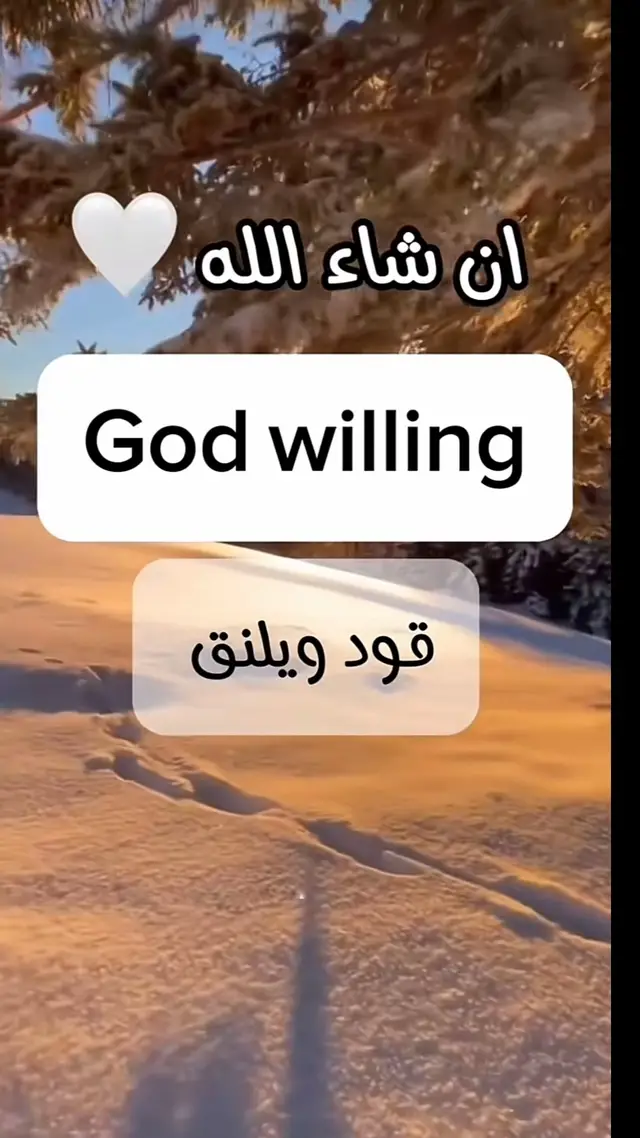 _انجليزي #تعلم_الانجليزي #اللغةالانجليزية #تعليم_الانجليزية #الانجليزية_للمبتدئين #اقتباسات_انجليزيه #مدرسة_انجليزي #ترجمة_انجليزي_عربي #دروس_انجليزي #انجليزي_عربي #learnenglish #english #vocabulary #englishteacher #ielts #englishlearning #englishlanguage #englishvocabulary #englishgrammar #englishtips #studyenglish #grammar #speakenglish #englishclass #learningenglish #ingles #englishcourse #learning #toefl #learnenglishonline #esl #education #aprenderingles #learn #language #idioms #LanguageLearning #s #englishlesson #englishspeaking #spokenenglish #belajarbahasainggris #englishonline #teacher #inglesonline #studyabroad #englishwords #ieltspreparation #ingl #easyenglish #study #wordoftheday #cursodeingles #vocab #englishidioms #kursusbahasainggris #englishlessons #bahasainggris #languages #pronunciation #phrasalverbs #englishisfun #dicasdeingles #words #ieltsspeaking #vocabularywords #ingilizce #businessenglish #speaking #speakingenglish  #انجليزي_مبسط #اللغه_الانجليزيه #لغه_انجليزيه #دورات_انجليزي #انجليزيه #معلمة_انجليزي #الانجليزيه #بحث_انجليزي #تعلم_الانجليزي #اللغةالانجليزية #تعليم_الانجليزية #الانجليزية_للمبتدئين #اقتباسات_انجليزيه #مدرسة_انجليزي #ترجمة_انجليزي_عربي #دروس_انجليزي #انجليزي_عربي #learnenglish #english #vocabulary #englishteacher #ielts #englishlearning #englishlanguage #englishvocabulary #englishgrammar #englishtips #studyenglish #grammar #speakenglish #englishclass #learningenglish #ingles #englishcourse #learning #toefl #learnenglishonline #esl #education #aprenderingles #learn #language #idioms #languagelearning #s #englishlesson #englishspeaking #spokenenglish #belajarbahasainggris #englishonline #teacher #inglesonline #studyabroad #englishwords #ieltspreparation #ingl #easyenglish #study #wordoftheday #cursodeingles #vocab #englishidioms #kursusbahasainggris #englishlessons #bahasainggris #languages #pronunciation #phrasalverbs #englishisfun #dicasdeingles #words #ieltsspeaking #vocabularywords #ingilizce #businessenglish #speaking #speakingenglish 
