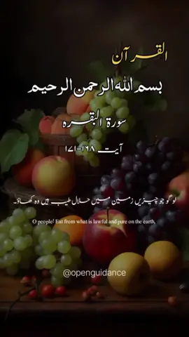 Sureh Al-Baqara ayat 168-171,  #urdutranslationbyfatehmuhamedjaladhary#quran#motivation#bayan#foryou#islamicreels#urdutranslationofquran#best#viral 
