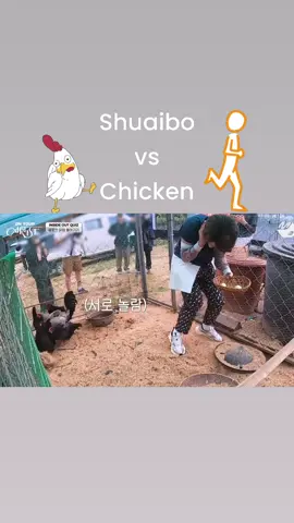 Shuaibo vs Chicken #ahof #ahof_official  #jl #hani # Shuaibo