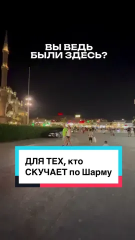 А для брони экскурсии пишите в директ @Sharmelshiekh.resort  или в Telegram  📥@Sharmelshiekhaly🧑🏾‍🦱#экскурсиишармэльшейх 