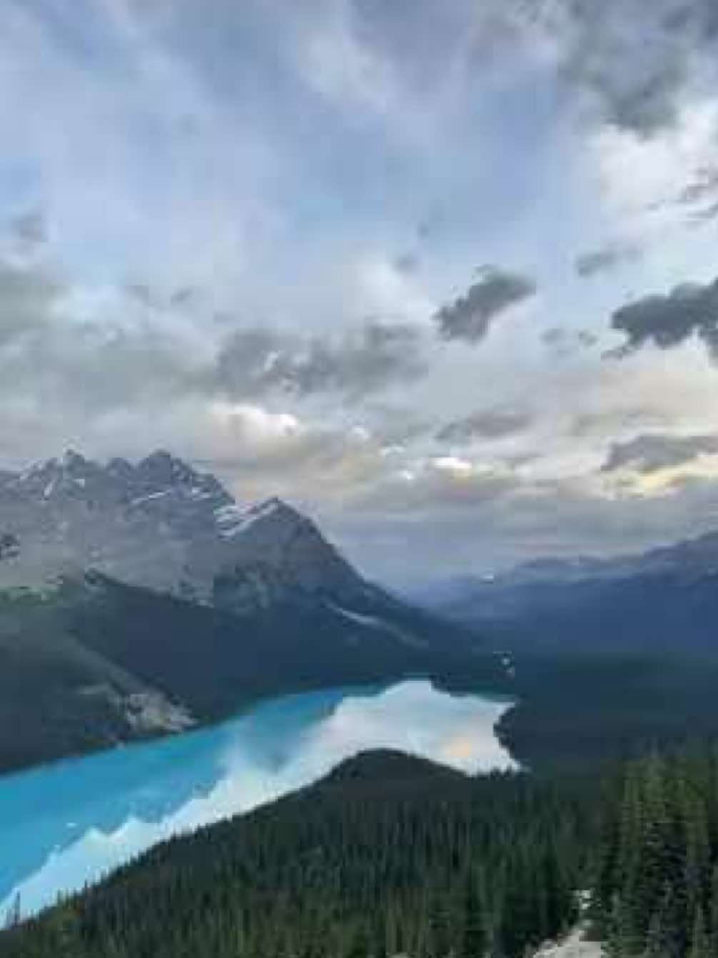 Book that trip 🙌🏼 #travel #traveltok #peytolake #banffnationalpark #canada #lakelife #albertacanada #wanderlust #travellife #travelbucketlist 