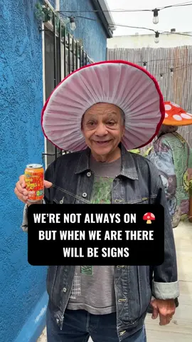 We literally have our Psilycaps on, man 🍄✌️