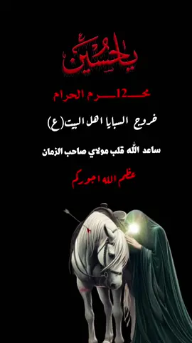 #12محرم_دخول_السبايا_الى_الكوفه #عظم_الله_اجورنا_واجوركم_بهذا_المصاب #😭😭😭😭😭😭💔💔💔💔 #fyp 