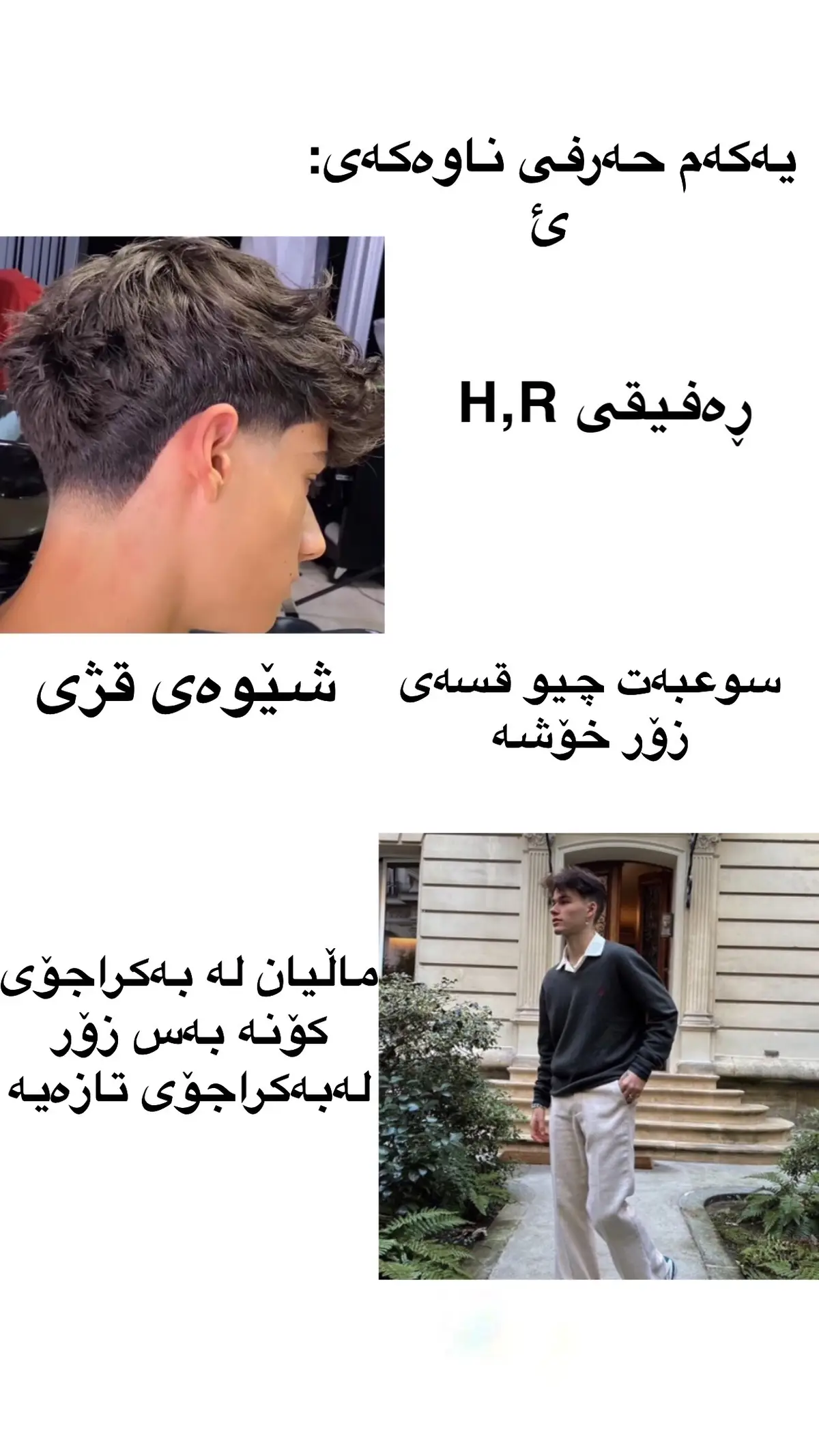 #bakrajo #bakrajoikon #tiktok #kurdi #kurdistan #بەکرەجۆ #acc 
