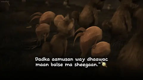 dadka aan dhibkoda ka hadli Karin . #fypviralシ #fyシviral #maahiz #foryou #foryoupage 