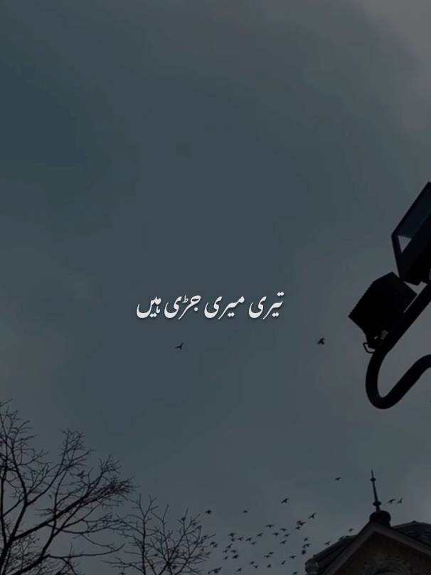 Tu Jaan Meri🥀 #fypシ゚ #lyrics #Zunilyrics47 