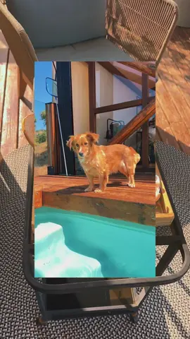 💚🌿 AlohaCamp tiene todo lo necesario para encontrar tu alojamiento perfecto para ti y toda tu familia. . 🏡 Cabañitas completamente equipadas 🏊🏼‍♀️ Piscina para refrescaros 🏃🏻‍♀️ Rutas y actividades en plena naturaleza . 💚Alojamiento pet friendly En mi perfil tienes el enlace con 20€ de descuento para tu escapada.@AlohaCamp España  . . . . #escapada #bycarmenchu #alohacamp #alojamiento #rural #naturaleza #experiencia #petfriendly #pupus #travel #recomendation 