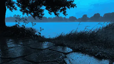this is a sign to you stop and calm your mind with this dark ambient music Spotify playlist 💙 #bluehour #relaxing #darkambient #ambientmusic #oneheart #fyp #nature 