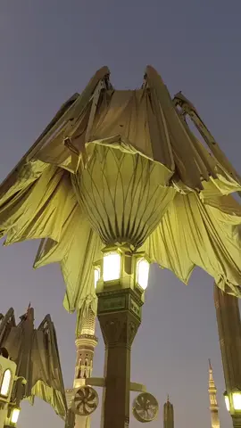 semoga bisa kembali berkunjung ke Madinah🥺 #madinah #madinahalmunawaroh #fypシ #haji2025#masukfyp 