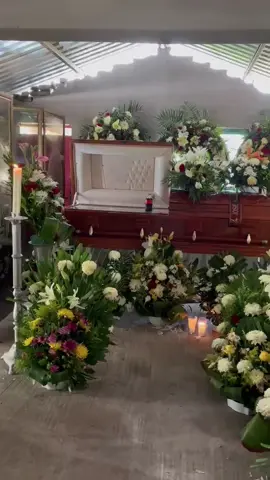 #apasito chulo te voy #extrañar toda#mivida 😇🕊️🤍💔😭@david.sanchez824 @Ireneo Sanchez @Luisa Maldonado @noemi 💋 @Yairi ✨❤️ @itz..yairi @Carmela Sanchez @Yesi Perez @Isabel Tercero @Cosinando con Elvia @Mariely @marializ🌺 