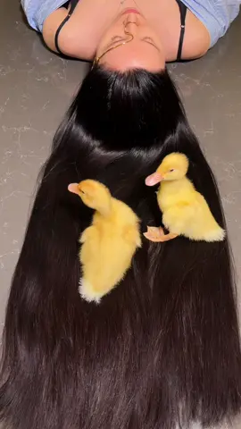 Omelette hair spa… would you try this?#americanhairstyle #americanhair 