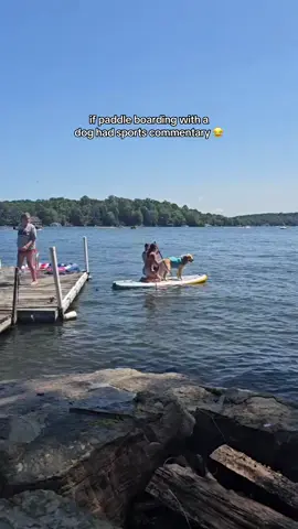 the jump was sabotage #dogs #paddleboarding #paddleboard #lakedog 