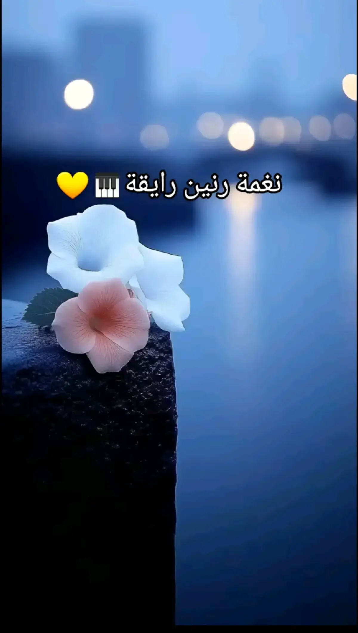 #نغمات #نغمات_رنين #نغمة_جوال #rnate #هدوء 