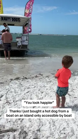 This is Shell Key, Florida. If you don’t have a boat, you can take the ferry from Madeira Beach or Fort DeSoto! 🌭 #shellkey #floridaislands 