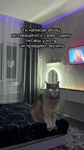Достатньо написати нам в Inst і замовити лист Тоді твій кіт і ти матимете спокійні нерви😀💘 #Мотиваційнийлист2025 #мотиваційний #мотиваційнийлист #написаннямотиваційноголиста #вступ #вступ2025 #мотиваційний2025 #мотиваційнийлист2025 