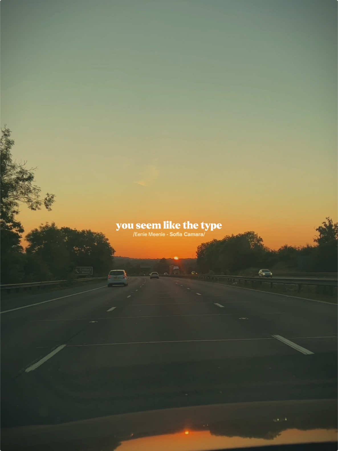 you seem like the type.. #CapCut #eeniemeenie #lyrics #vibes #trend 
