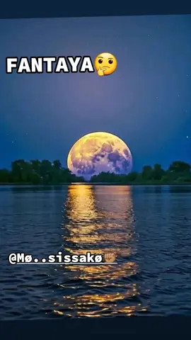 #visibilité 