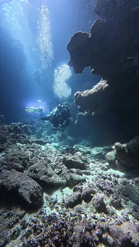 Sea lovers #Summer #viral #trending #jeddah #ksa #dji #scubadiving #padi #underwater  #جدة #بحر #غوص_ف_أعماق_البحر #صيف #غوص 