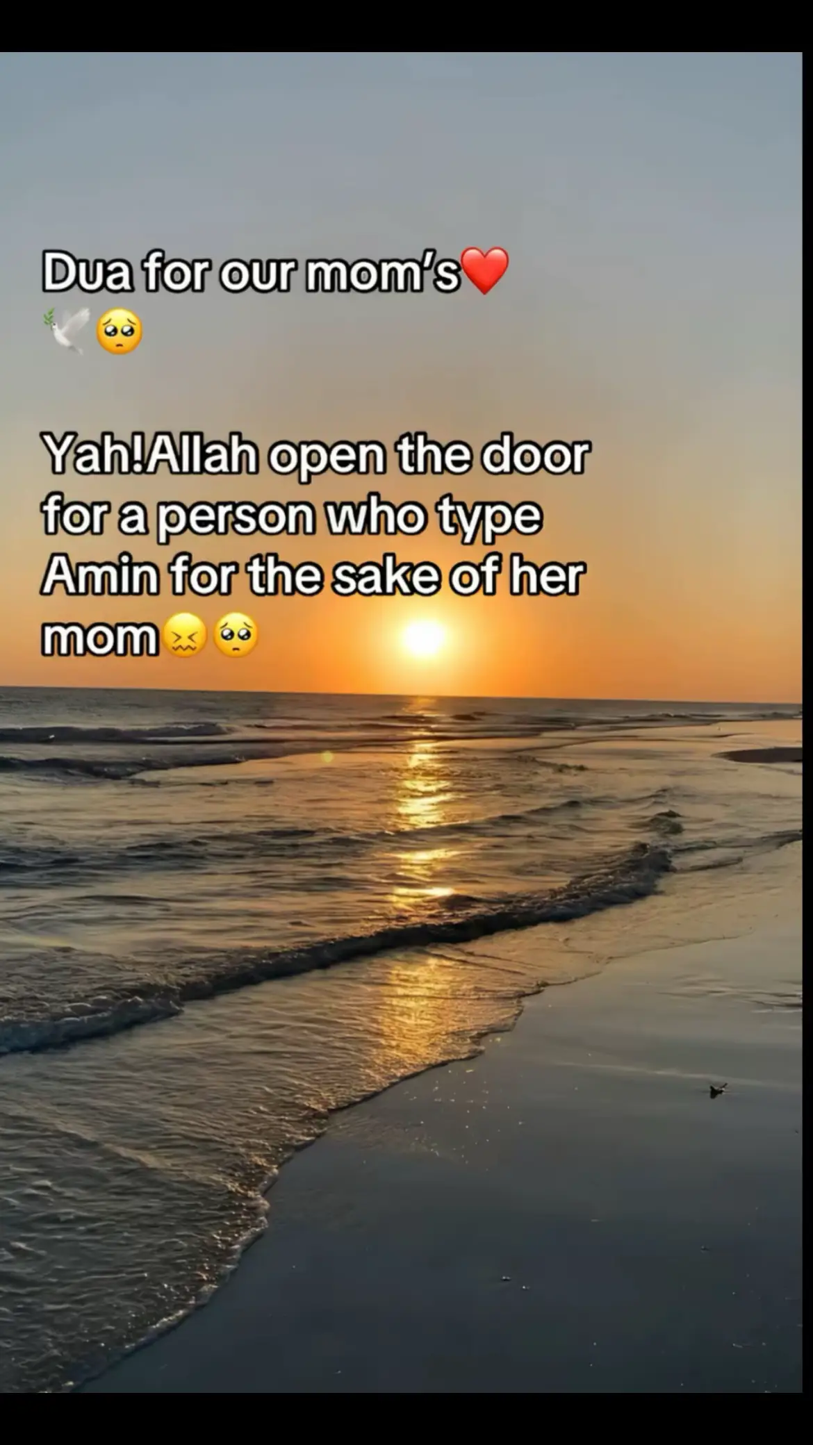 #Amin🕊️🥹 
