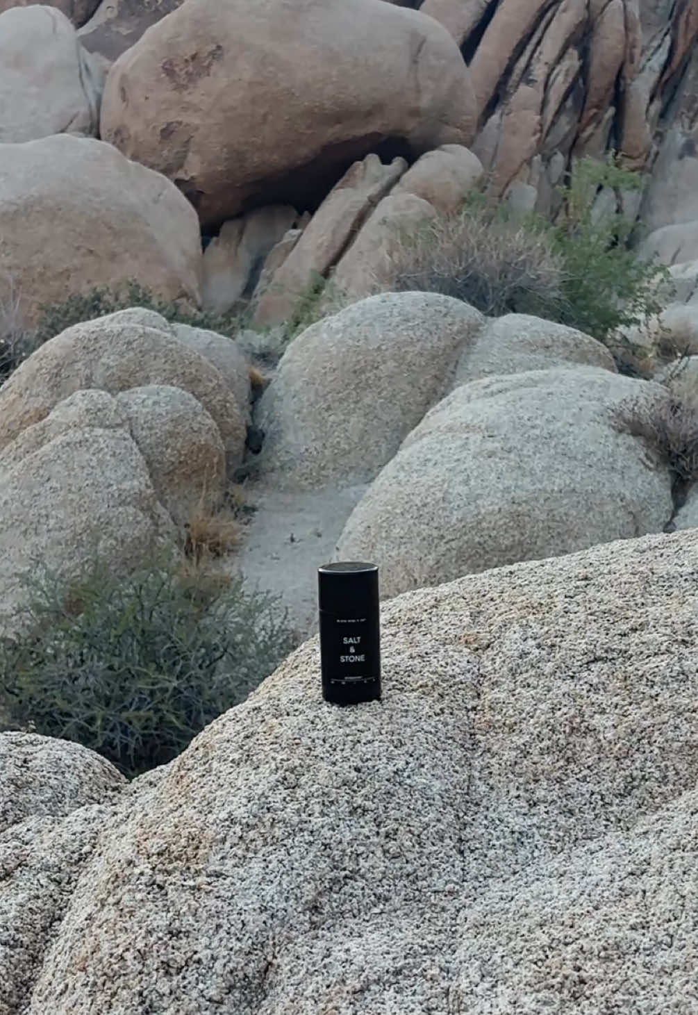 @SALT & STONE meets Joshua Tree national park 🌳 