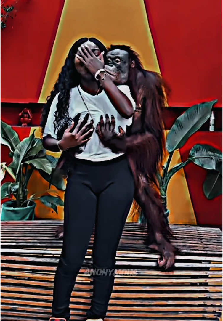 The thing p@in me😭😭😭. An ordinary orangutan pressing bwess🤦🏽‍♂️🥺 #famousorangutan #orangutan #thailand #ladiesoftiktok #gehge #nigeriantiktok🇳🇬 #relatable #fyp #anonymous 