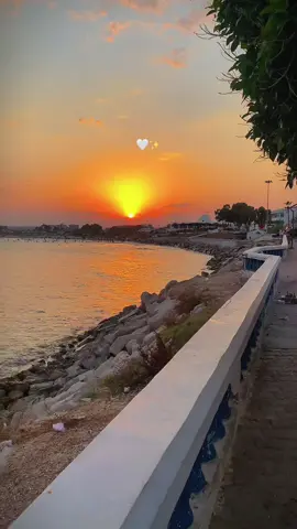 #tunisia🇹🇳 #bkhiar #nabeul 