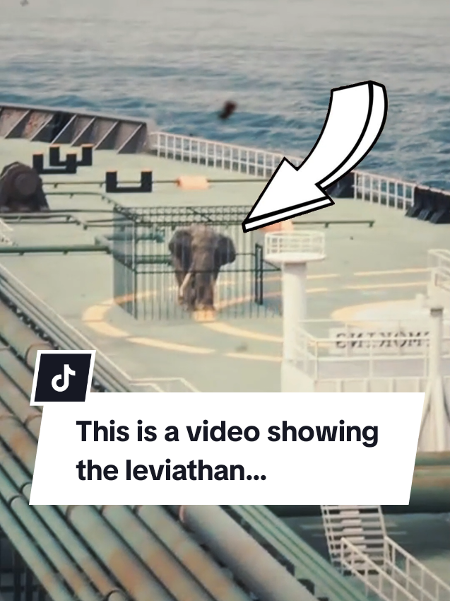 This is a video showing the leviathan... #horror #scary #storytelling #leviathan 