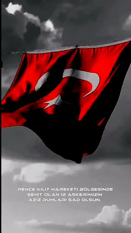 Söylenecek çok söz var ama bazen sözler yetersiz kalıyor. #şehit #pençekilit #şehitlerimiz #vatan #bayrak #fy 