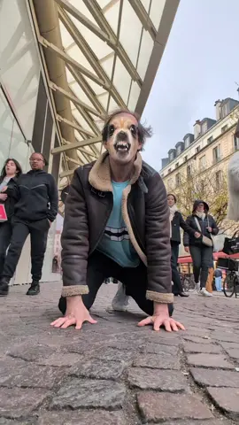 Une incroyable histoire d'amitié entre animaux. #funny #cat #dog 
