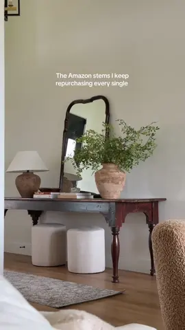 The best amazon stems I’ve purchased every year since 2022 because they’re that good!! #amazonhome #amazonfinds #entryway #homeinspo #homedecor #homefinds 