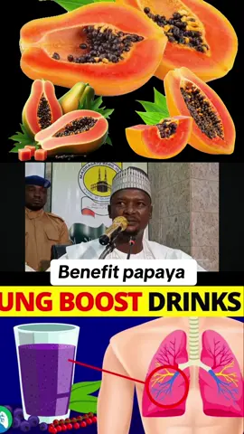 Benefit payaya#foryoupage #creatorsearchinsight #staff_sultan_herbs 
