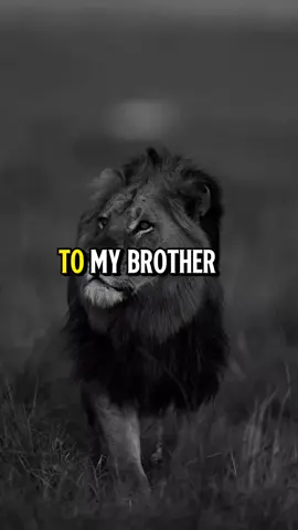 #usa_tiktok #unfreezemyaccount #listentothiseveryday #growbeyoundyourlimits #fyp #motivationalquotes #mindset #inspiration #inspirationalquotes #motivationalspeeches #quotesoftheday #yourblessingiscoming #usa #motivation 