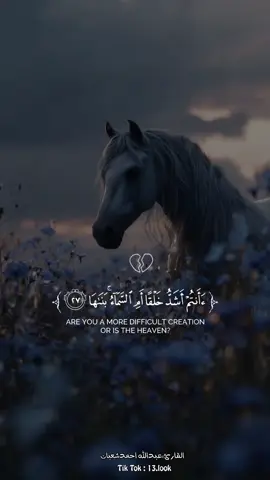 أأنتم أشدخلقا أم السماء بناها💬🤍 #قوالب_كاب_كات #قران #قوالب_دينيه #قران_كريم #أأنتم_أشد_خلقا_أم_السماء_بناها #عامرالسعيدي #CapCut 