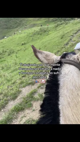 #corridos #caballos #campo #trabajo #motivation #fypviral #paratiiiiiiiiiiiiiiiiiiiiiiiiiiiiiii 