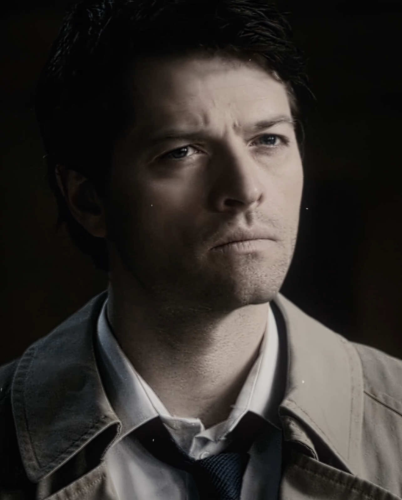 jaw dropped when this absolute beauty showed up on my screen for the first time. || cc: moonst6ne ac: attrakt scp: sydneyspacks quality: ack9les // #foryoupage #fyp #castiel #viral #supernatural #spn #castieledit #peak #supernaturaledit #supernaturalfamily #akf #supernaturalfamily #perditionaep #moots? #supernaturalfandom #aftereffects #topaz #mishacollins \\ dts; @scottsbexa @aria ⛦ @.jar1ed @Impala67🥧 @Jack! @abbie @⃟⃟⃟⃟⃟⃟ @bea ✧.* @bxqetsiyah @👻ྀིྀིྀིྀིྀི @₊ᵗⲩ†ⲩ₊ @annabella @awesam sauce 🦦🐞 @bri❤︎ @cay @ella @flossie 𖤐 @ines @Kimberly @lynn @𝖓0𝖍𝖚𝖒4𝖓𝖎𝖙𝖞 @nadia @nika ★ @ᴘᴀᴛʀɪᴇʟ 𖤍 @slut4jensenackles @winchexter.aep @zarae ❀ 
