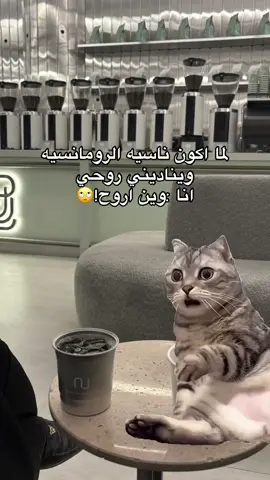 #MemeCut #MemeCut #Meme #MemeCut #cupcut #capcutvelocity #s 