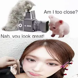 my silly 😢 #leeseo #ive #edit #iveedit #ivepalooza #fypシ #fyp 