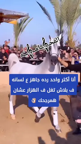 أنا أكتر واحد رده جاهز ع لسانه ف بلاش تغل ف الهزار عشان همرجحك 👌🏻#👌👌👌👌👌👌🤝🏻 #خلصانا #فۣۗہخۣۗہـــــــــــآمۣۗہة 