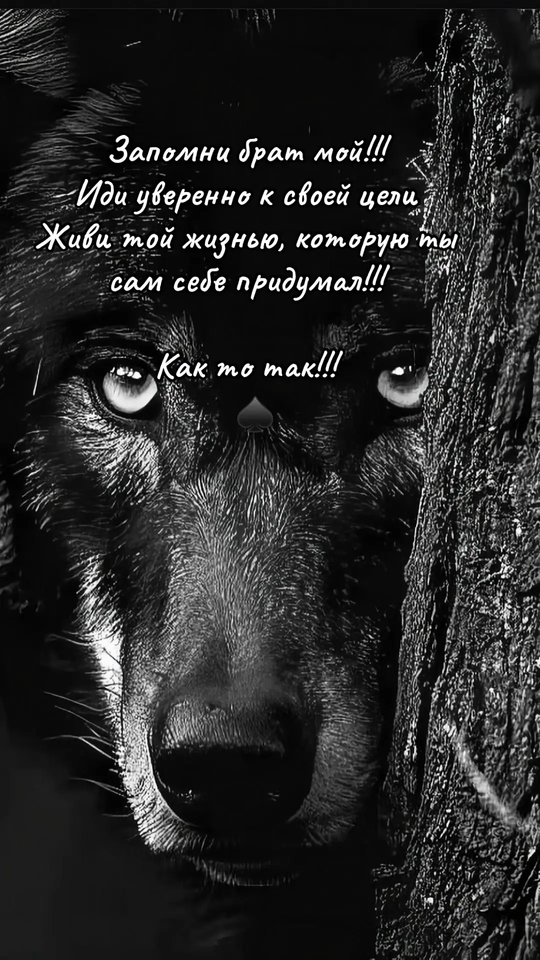 #одесса 