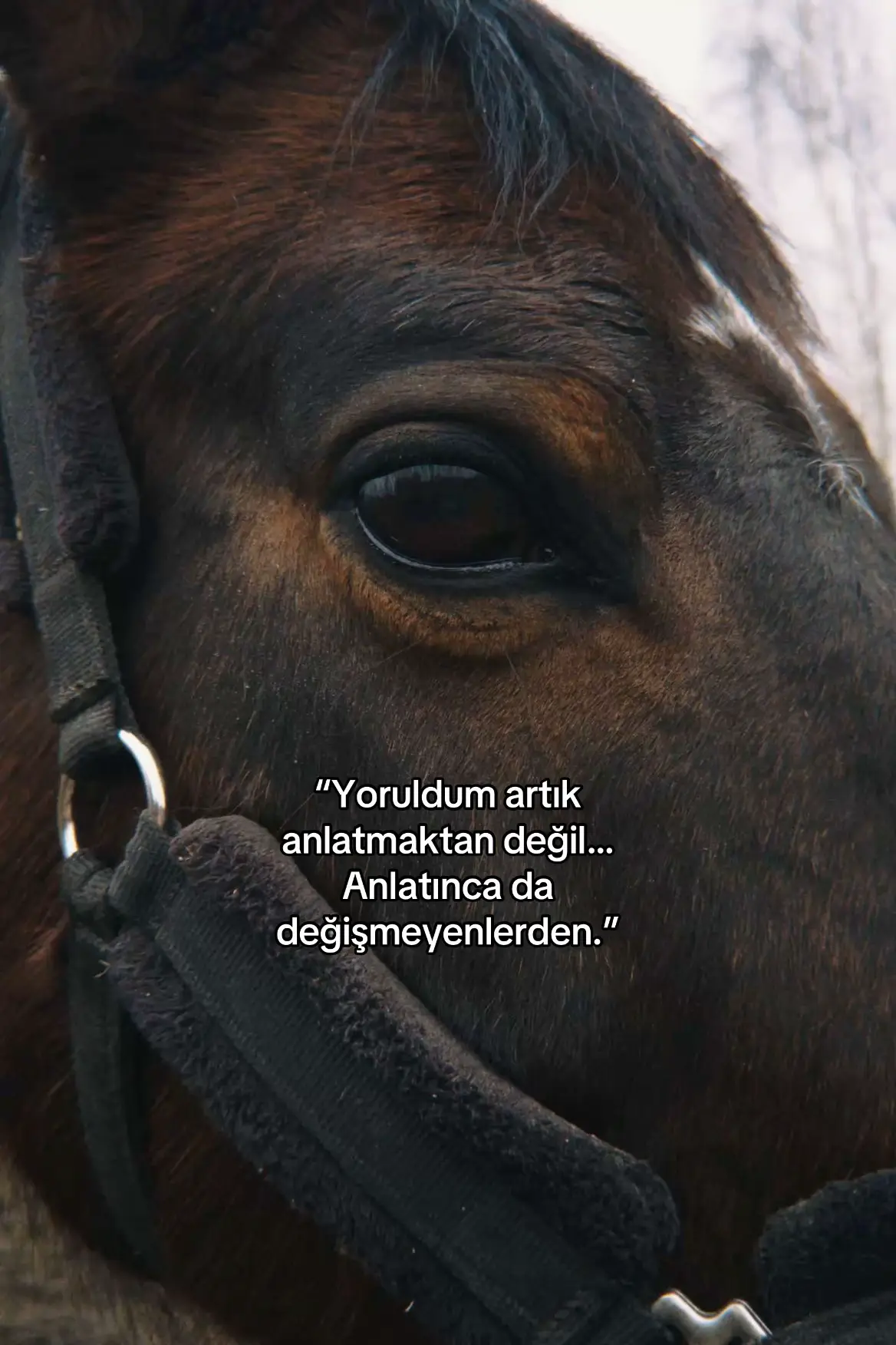 #beniöneçıkart #onecikarttiktok 