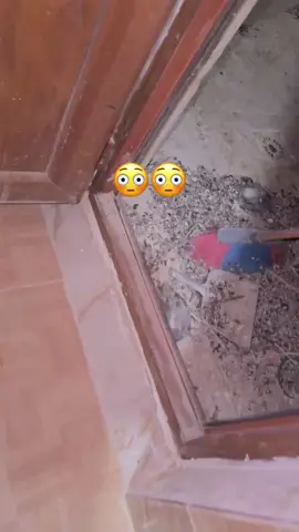 شۆردنی قەنەفە لەناو ماڵەکانی خۆتان  بە باشترین ئامێری پێشکەوتوو  و بە گونجاوترین نرخ  کە بۆ تاقمێکی ١٠ نەفەری تەنھا 45ھەزار دینارە Malina clin بۆ خزمه‌ت گوزاری پاك کردنەوەی گشتی🧹   🏠ماڵ - 🏢شوقە - 🏡ڤێلا - 🏛شوێنە بازرگانییەکان به‌ هه‌رزانترين نرخ 💵و باشترين مةواد 🪣 وە ھەروەھا کارمەندمان ھەیە👷‍♀️👷‍♂️ بۆ پرسەو بۆنە و ئاھەنگەکان.   👷‍♀️👷‍♂️كارمه‌ندی ڕۆژانه‌/ كارمه‌نده‌كانمان له‌ کاتژمێر ٩ی بەیانی بۆ ٤ی ئێوارە كارئه‌نجامده‌ده‌ن تەنها به ٥٠ هەزار دينار کار لە ئێمە و دڵنیایی بۆ ئێوە 📱بۆ پەیوەندی کردن 07722117694 ناونیشان: سلێمانی روژ سيتي#fooryou #fypシ゚ #hawler_slemani_dhok_karkuk_hallabja #krdstan🇹🇯 